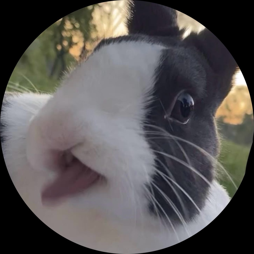 Meet your Posher, Bobbi